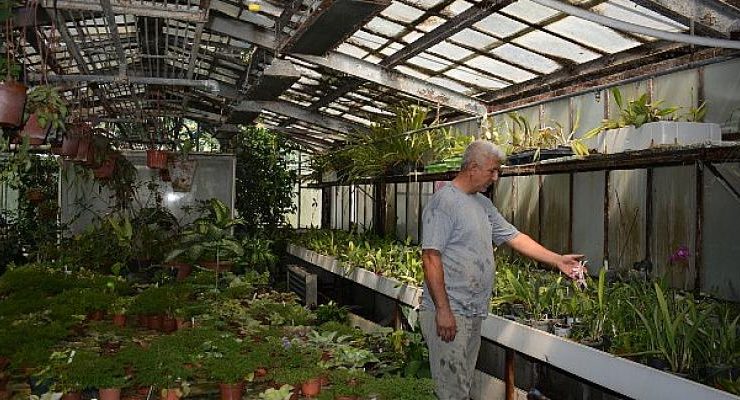 Ege Üniversitesinin endemik tür cenneti: “Botanik Bahçesi”