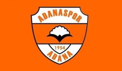 Adanaspor Puan Durumu: Sezona Zorlu Bir Giriş