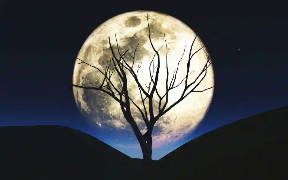 Babacan’dan Ekonomik Krize 21 Çözüm Önerisi